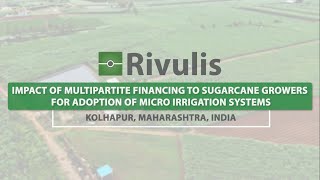 Rivulis Drip Irrigation Financing to Sugarcane Growers  English Rivulis India [upl. by Drawets]