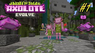 😍 ¡¡SOMOS AJOLOTES QUE EVOLUCIONAN🤩  MINECRAFT x AXOLOTL EVOLVE 1 [upl. by Mansfield]