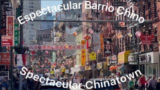 AGITADO Barrio Chino  NYC  Chinatown [upl. by Franciskus859]