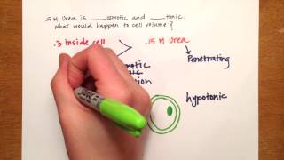 LPA 1C  Osmolarity Practice Problems [upl. by Alim]