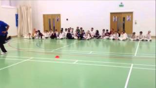 Tymal mills bowling demo [upl. by Sulakcin]