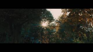 Panasonic GH4 43 Schneider Super Cinelux Anamorphic 2X MC [upl. by Naleag]