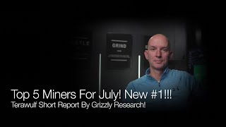 Top 5 Bitcoin Miners In June New 1 Terawulf Short Report By Grizzly Research QampA [upl. by Euqinoj]