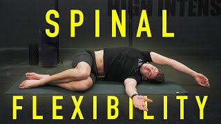 25 Minute Spinal Flexibility Routine FOLLOW ALONG [upl. by Eiger]