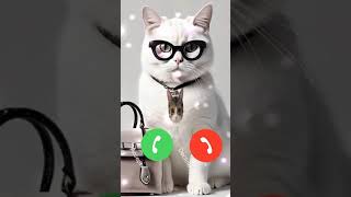 Cute Cat Calling Status cute Cat Ringtone 🔥🔥🔥shorts call ringtone😋💋💘💕😄 [upl. by Also939]