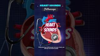 Heart sounds lub and dubneet icse shortsfeed [upl. by Collayer]