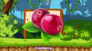 Fruits Vocabulary  60 Common Fruit Names in English with Pictures  List of Fruits in English [upl. by Anasus126]