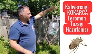 Kahverengi KOKARCA Feromon Tuzağı Nasıl Hazırlanır ‼️ [upl. by Tinor]