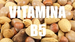 Vitamina B5 O Ácido pantotênico Importância funções benefícios e fontes naturais [upl. by Aicilat]