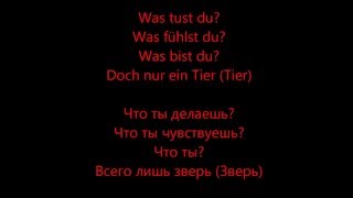 Tier  Rammstein HD Lyrics Текст песни и перевод [upl. by Mariano810]