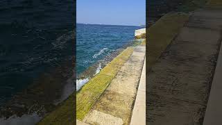 Sea organ sounds Zadar Croatia croatia travel [upl. by Assetnoc638]