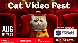 CatVideoFest 2023  The Vic Theatre  August 18 19 20 [upl. by Hungarian22]