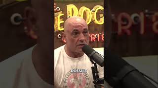 Elon Musk Debunking Myths The Truth About the Carnivore Diet elonmusk podcast joerogan news [upl. by Lamag]