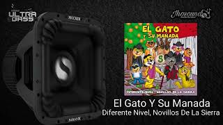 El Gato Y Su Manada Epicenter  Diferente Nivel × Novillos De La Sierra [upl. by Lan7]