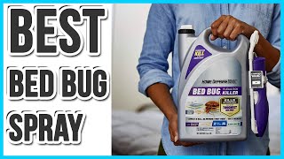 Say Goodbye To Bed Bugs The Best Bed Bug Sprays On The Market [upl. by Sussna859]