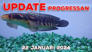 Update Progress amp Treatment 22 Jan 24 [upl. by Gorrian]