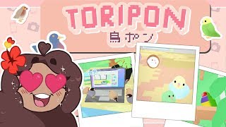 Pokémon Snap for Birds 🐦💕 Toripon 鳥ポン • 1 [upl. by Cerelia]