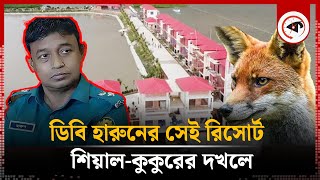 ডিবি হারুনের সেই রিসোর্টে এখন শিয়ালকুকুরের রাজত্ব  Harun Or Rashid  President Resort  Kalbela [upl. by Anaert]