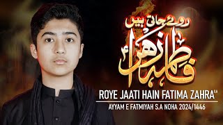 ROYE JAATI HAIN FATIMA ZEHRAsa  DANIYAL ALI KAZMI  NEW AYAM E FATIMYA NOHA 14462024 [upl. by Otrebmuh]