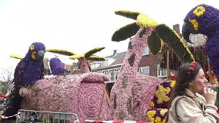 The Netherlands Flower Parade 2023 [upl. by Aohk24]