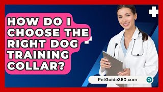 How Do I Choose the Right Dog Training Collar  PetGuide360com [upl. by Nowell]