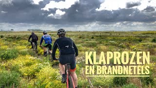 Klaprozen en Brandnetels [upl. by Sarette352]