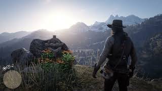 Rdr2 100 Completion [upl. by Kelsy]