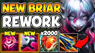 NEW BRIAR REWORK CHANGES EVERYTHING SHES AN UNKILLABLE TANK NOW [upl. by Gardie]