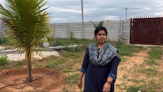 Evening vlog with family in farm  Ganesh Nimarjanam vlog  vlogs vlog vlogvideo anjitha ￼ [upl. by Didier794]