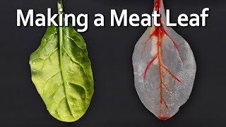 A Leaf Made of Meat [upl. by Ruprecht]