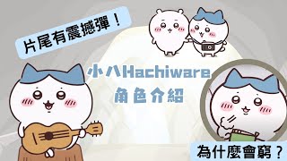 【Chiikawa 人物介紹】小八 Hachiware 貼心小暖男卻窮得住山洞  Chiikawa解說 EP4  ちいかわ  吉伊卡哇 [upl. by Samul]