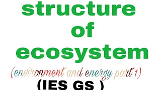 ECOSYSTEM BIOTIC ABIOTICstructure of ecosystem IES GS  environment and energy part1 [upl. by Arihsan]