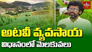 Forest Farming అటవీ వ్యవసాయ విధానంలోమెలకువలు  hmtv Agri [upl. by Sybila907]