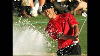 Hot Dog Thrown At Tiger Woods [upl. by Bergquist]