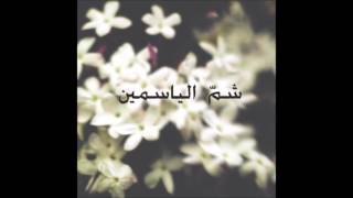 Shim El Yasmine Mashrou Leila Cover [upl. by Peyter]