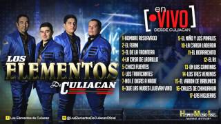 Los Elementos De Culiacan En Vivo Desde Culaican Disco Completo [upl. by Malanie]