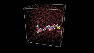 LAMMPS Example Peptide [upl. by Becky]