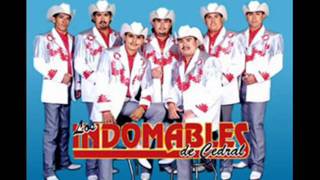 Los Indomables de Cedral  La ausencia de tu amor [upl. by Nyleuqaj]