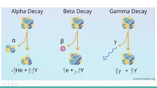 Radioactive Decay [upl. by Schnapp282]