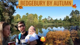 Bedgebury Forest Autumn Day Out  Autumn Colours At Bedgebury Pinetum  Bedgebury 2020 [upl. by Erdeid171]