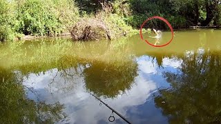 Jai pêché au leurre MAIS quand jai vu ça jai changé ma pêche Carpe en rivière [upl. by Bobinette]