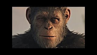 Caesars Death  Ending Scene  War for the Planet of the Apes 2017LOWI [upl. by Mahon717]