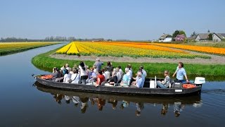 Keukenhof Gardens [upl. by Chlores868]