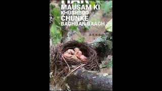 Bago ke har phool Ko apna samjhe Bhagwan shortvideo trendingvideo YouTubeshort [upl. by Nired]