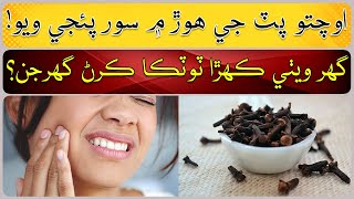 Home Remedies to Avoid Toothache [upl. by Mortimer]