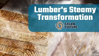 Sustainable Lumber Drying Using Steam amp Plant Waste to Power the Process  Steam Culture [upl. by Nesyaj]