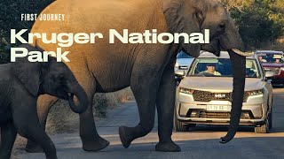 Kruger National Park with a fouryearold [upl. by Revart]