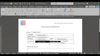 Fichas de Auto Llenado en Word [upl. by Drarig]