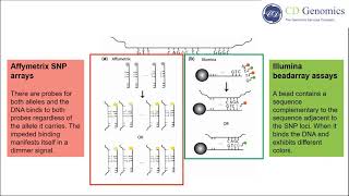 SNP Genotyping Technologies [upl. by Anol]