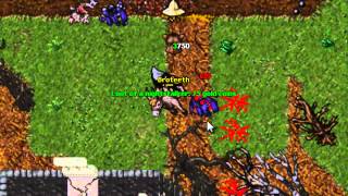 Tibia Hunt Episode 14  Yalahar Zombies [upl. by Lessig]